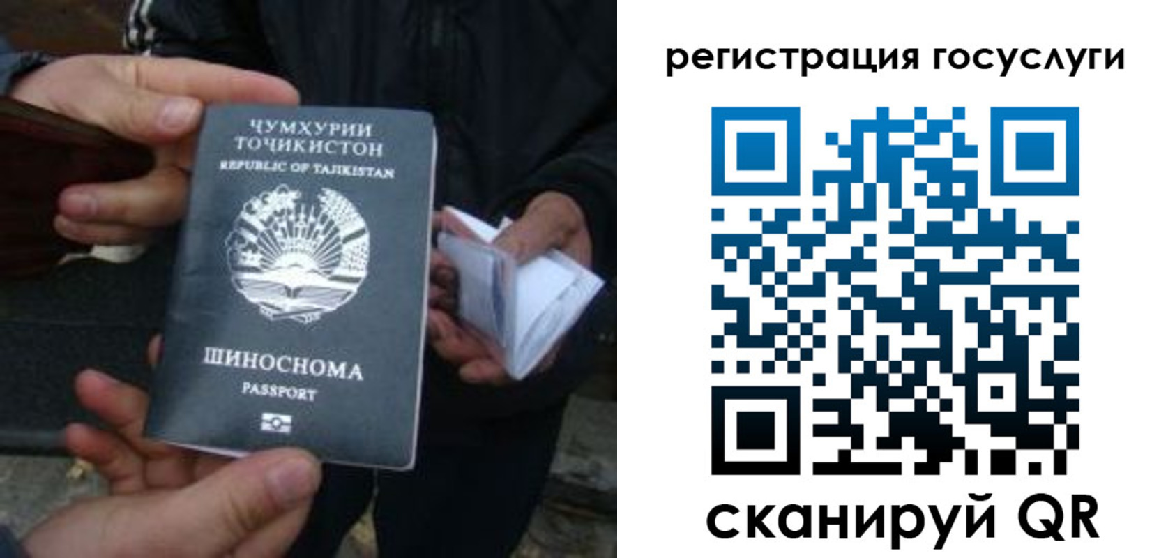 прописка регистрация в Сольцах